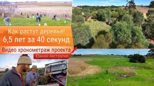 6.5 лет за 40 секунд! Хронометраж проекта по лесовосстановлению!