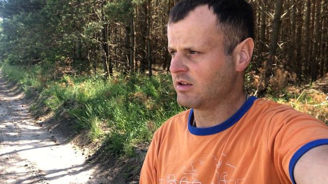 Люцерна вигідніша за траву! смотреть онлайн