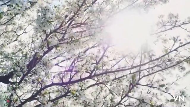 Тайна Бога, это вечная жизнь с Иисусом Христом смотреть онлайн