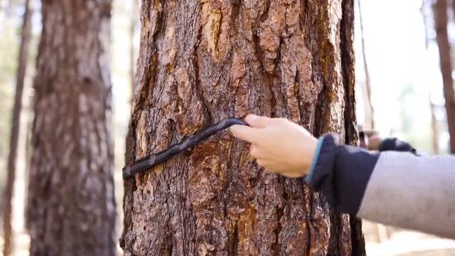 Wise Owl Outfitters Talon XL Hammock Tree Straps смотреть онлайн