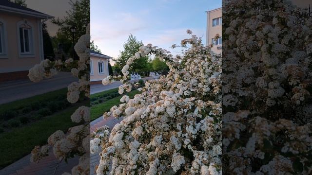 Санаторий Сакрополь в Саках,Крым смотреть онлайн