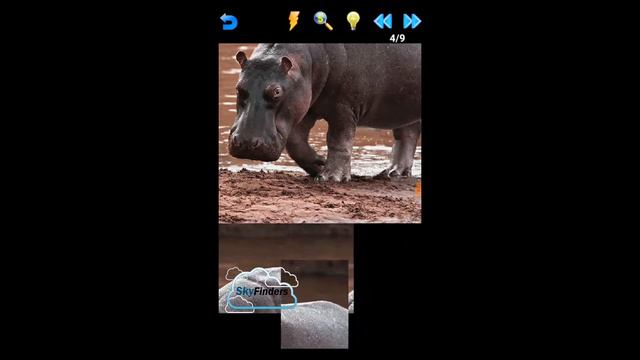Wild Animal Puzzle Game For Kids | Simple Puzzles Of Wild Animals | Easy Games For Kids n Toddlers смотреть онлайн