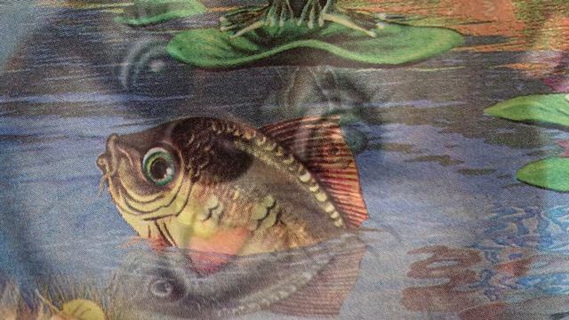 Уроки чтения, читаем стихи смотреть онлайн