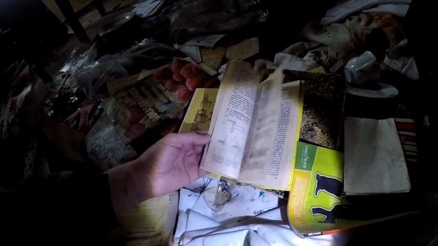 Я НАШЕЛ ИХ В ДРЕВНЕЙ КНИГЕ! смотреть онлайн