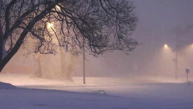 Падает снег... /стихи Дарьи Яшенко/ смотреть онлайн