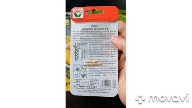 Семена на 2024 г.Посылка с семенами))) смотреть онлайн