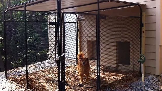 Wall Mounted Brackets From K9 Kennel Store смотреть онлайн