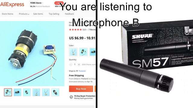 Fake SM58 Capsule VS Genuine SM57 (Blind test) смотреть онлайн