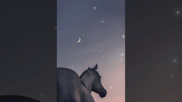 Нашид- Marat Sinin🍃 смотреть онлайн