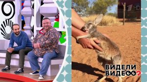 Видели видео? Часть 1. Выпуск от 07.07.2019