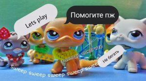 Лпс клип (дебют новой кошки)