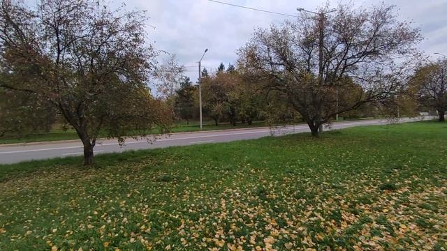 03.10.2023 Улица Дзержинского Комсомольск-на-Амуре#4(4) смотреть онлайн