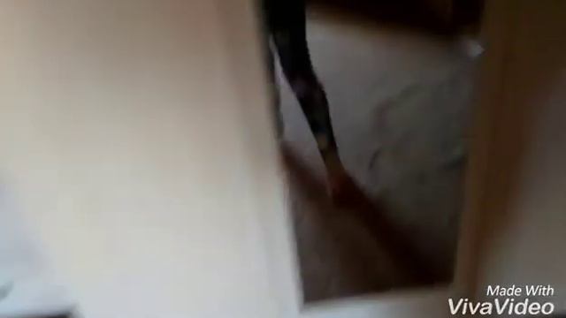 Короче говоря 1 сентября от 1 лица смотреть онлайн