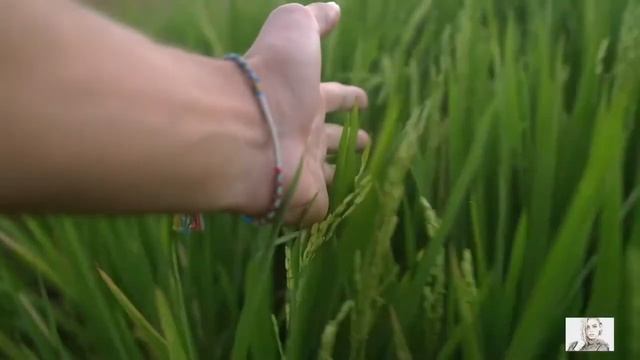 Прости меня, мама смотреть онлайн