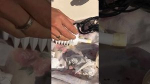 Как поменять помпу в био-туалет