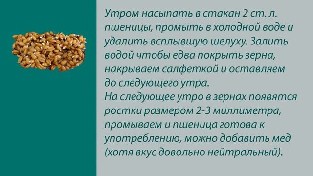 Омоложение и укрепление организма пророщенной пшеницей. смотреть онлайн