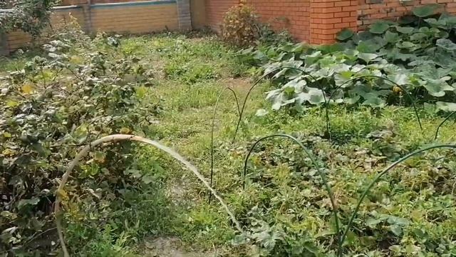 Новая скважина 125нпвх за один день под ключ г. Казань наш телефон 89033445320 смотреть онлайн