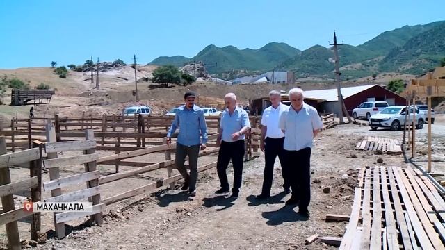 Дагестан готовится к празднованию Курбан–байрам смотреть онлайн