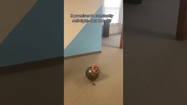Trying to knock over the Dyson multifloor big ball vacuum смотреть онлайн