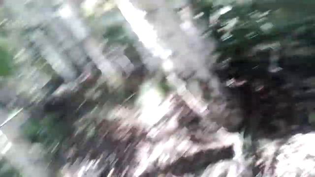Рыбалка не удалась,а вышла тихая охота)) смотреть онлайн