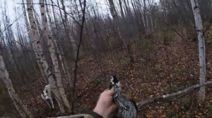 С ПРАЗДНИКОМ СВЯТОГО МУЧЕНИКА ТРИФОНА ПОКРОВИТЕЛЯ ОХОТНИКОВ И РЫБОЛОВОВ