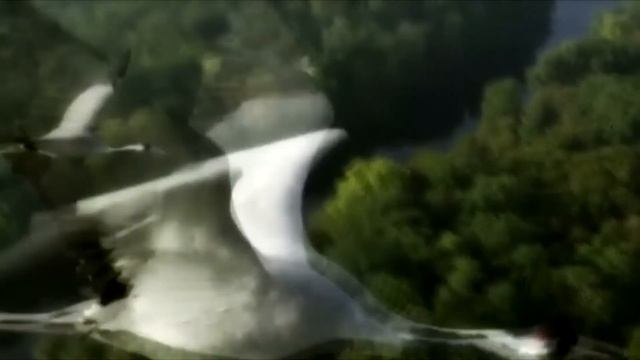 «Вальс Бостон» смотреть онлайн