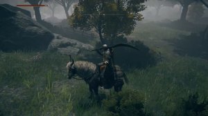 ЖРЕЦ-ЗВЕРЬ ГУРРАНК ➤ ПРОХОЖДЕНИЕ ELDEN RING #20