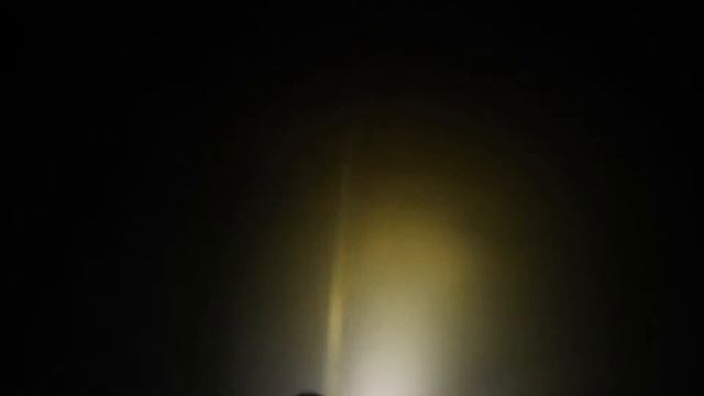 Новомичуринское водохранилище.Белый амур. 19.11. 2014 смотреть онлайн