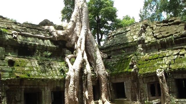 Храм Та Пром, ч.3, Ta Prohm, Камбоджа смотреть онлайн