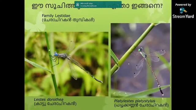 DSA Regional Talks | Malayalam by Vivek Chandran смотреть онлайн