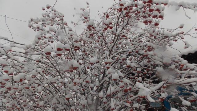 ЗИМА КРАСАВИЦА Автор Сергей Мосин Песню исполняет Людмила Олифирова смотреть онлайн