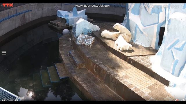 После завтрака надо запить молочком 07.06.2020 смотреть онлайн