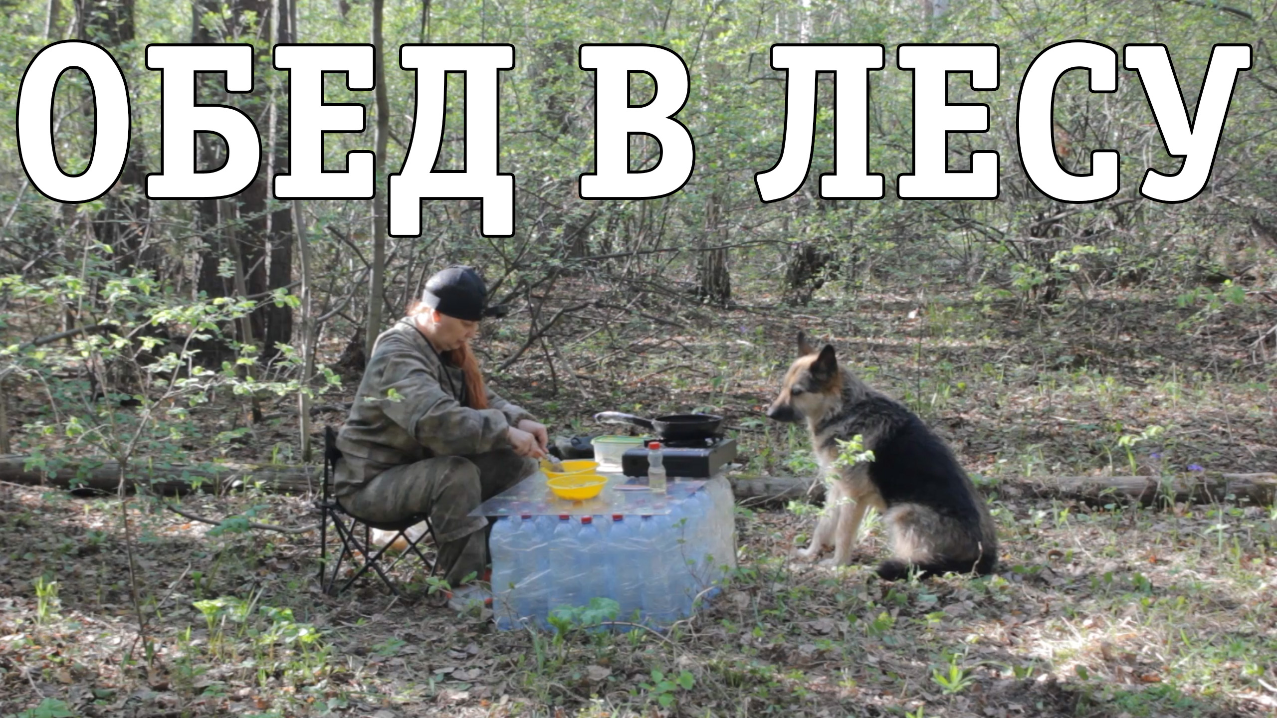 Пвд поход в лес
