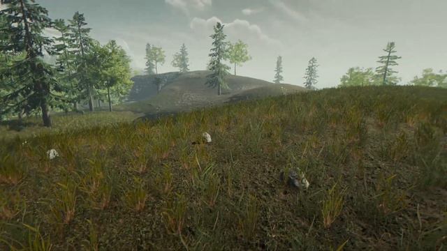 BEST BASE LOCATION AND WHY｜The Forest Version 1.10 смотреть онлайн