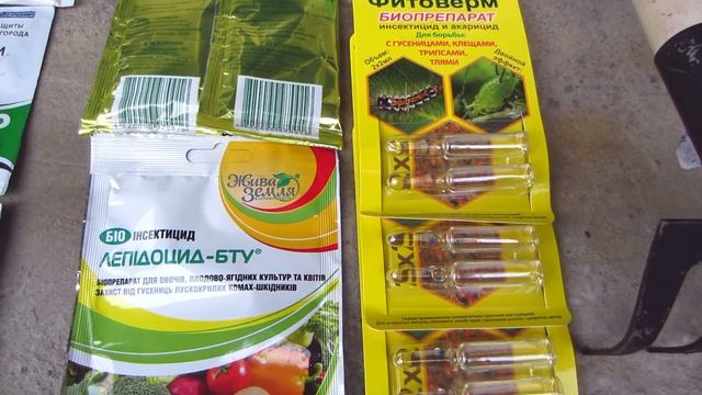 Агро-Маркет (agro-market) Малиновое дерево! Товары для сада и огорода! смотреть онлайн