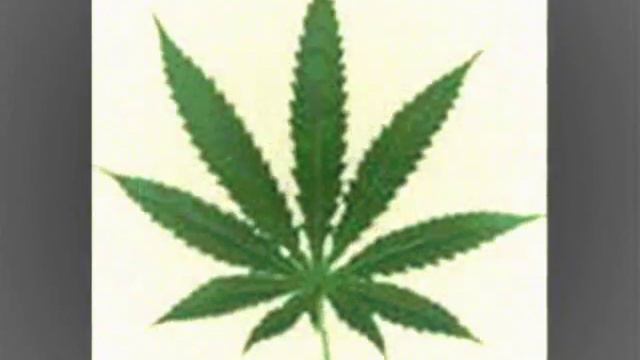 anacrusis, stop me смотреть онлайн