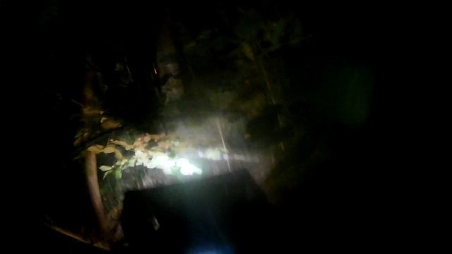 РМ 800 через лес ночью 2 смотреть онлайн