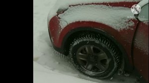 Рывок, удар, в вариаторе k112f при холодном запуске Toyota Rav4.