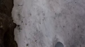 Хороший клев Омуля утром. Рыбалка на Байкале.