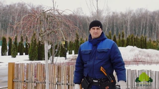 Сад весной. Основные правила обрезки декоративных деревьев смотреть онлайн