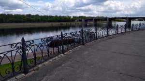 город Тверь, набережная, 28 мая 2022 г