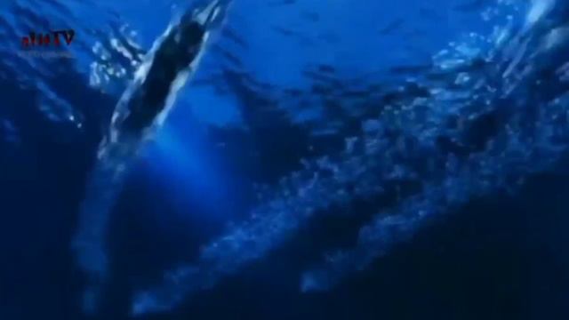H2O: Просто добавь Кафки смотреть онлайн