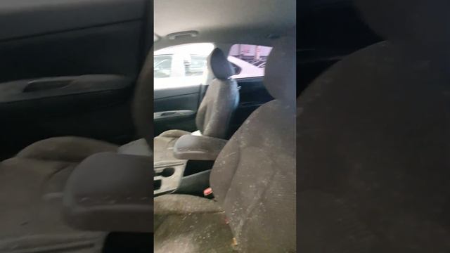 Авто аукцион в Дубае смотреть онлайн