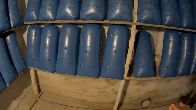 Инкубация Грибных Блоков седьмой день Размещение второй партии блоков Выращивания Грибов Вешенка смотреть онлайн