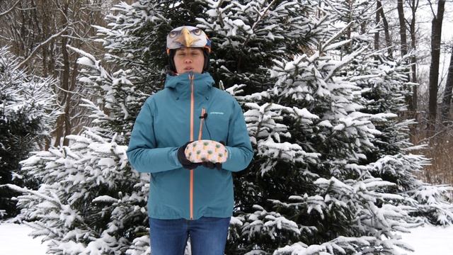 Чехлы для горнолыжных масок Gogglesoc смотреть онлайн