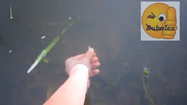 Рыбак 80 лвл смотреть онлайн