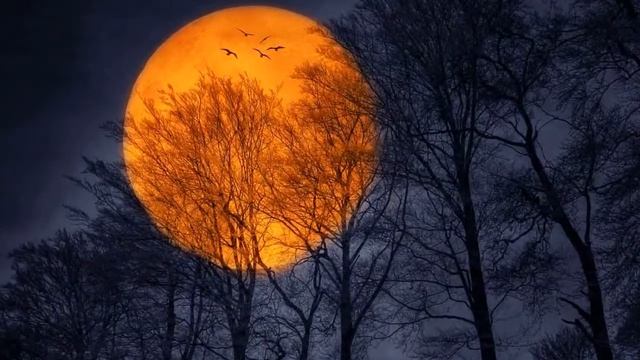 Осеннее зеркало смотреть онлайн