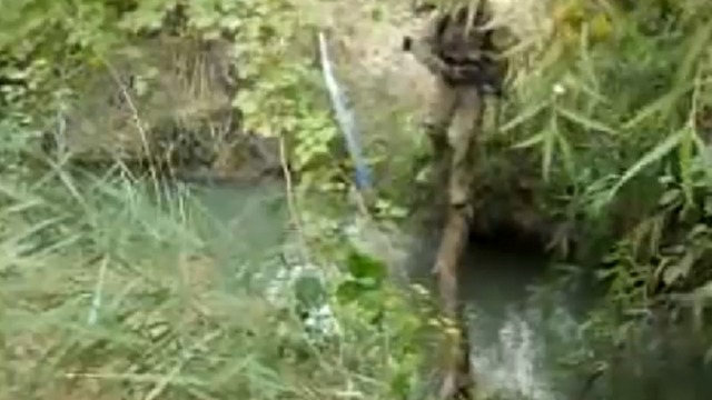 Не захотел перебираться по воде смотреть онлайн