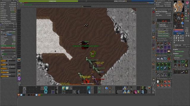 Tibia 2021 - ED Netherworld Port Hope Flimsy Lost Souls - 400 DRUID. 6.5KK/H! смотреть онлайн