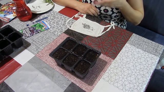 Посадка базелика на рассаду двумя способоми . смотреть онлайн